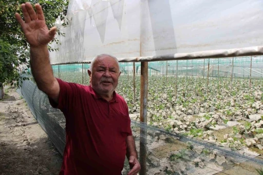 Diktiği binlerce k&ouml;k fidesi sel sonrası &ccedil;&uuml;r&uuml;yen &ccedil;ift&ccedil;i: "Bu afet Allah&rsquo;tan geldi, boynumuz kıldan ince"
