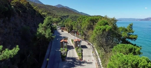 Dilek Yarımadası Milli Parkı’na yangın yolu açılacak

