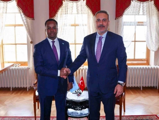 Dışişleri Bakanı Fidan Somalili mevkidaşı Ali ile g&ouml;r&uuml;şt&uuml;

