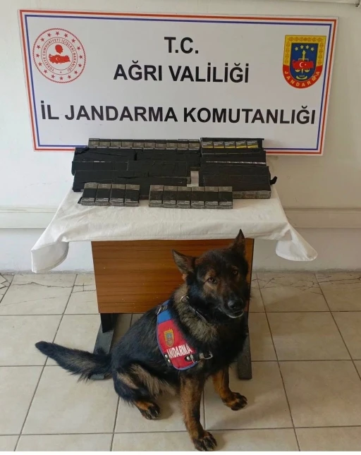 Diyadin&rsquo;de 180 paket ka&ccedil;ak sigara yakalandı
