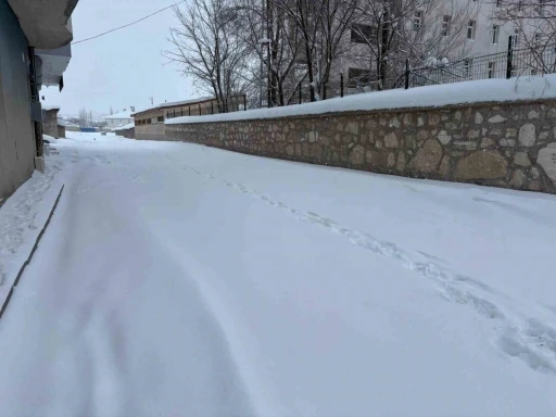 Diyadin&rsquo;de yoğun kar yağışı hayatı olumsuz etkiliyor
