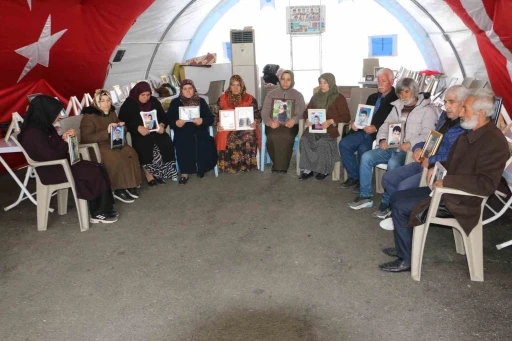 Diyarbakır anneleri eylemlerine Ankara’da devam etmeyi planlıyor
