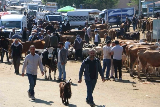 Diyarbakır Canlı Hayvan Borsasında kurbanlık hareketliliği

