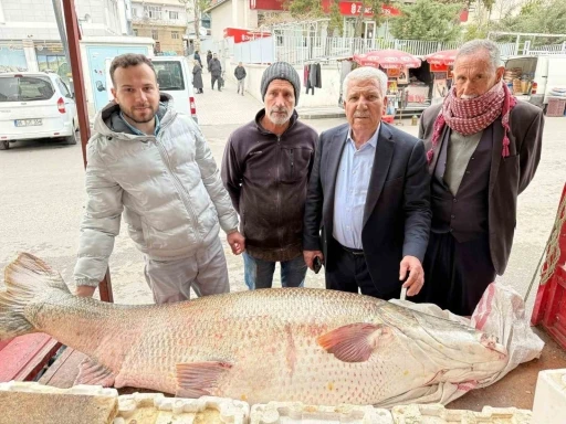 Diyarbakır&rsquo;da 120 kiloluk turna balığı g&ouml;renleri hayrete d&uuml;ş&uuml;rd&uuml;
