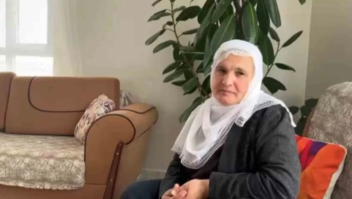 Diyarbakır’da 14 inek çalındı, yavrular biberonla besleniyor
