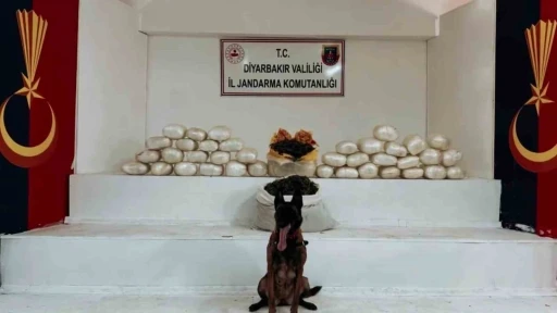 Diyarbakır’da 470 kilo skunk ve 85 kilo esrar ele geçirildi
