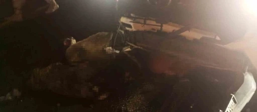 Diyarbakır&rsquo;da aracın daldığı s&uuml;r&uuml;deki 15 koyun telef oldu
