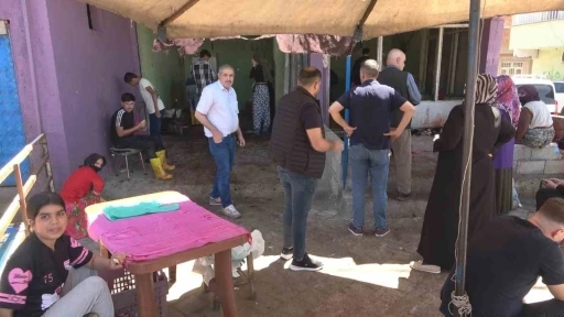 Diyarbakır&rsquo;da bayramın ilk g&uuml;n&uuml;nde kurbanlık mesaisi başladı
