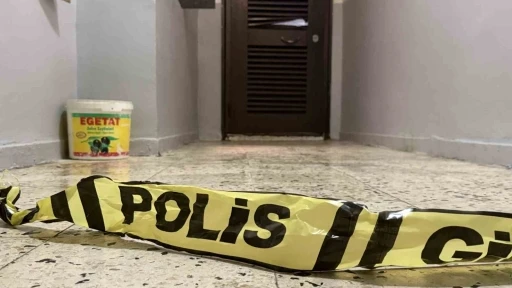 Diyarbakır’da bir şahıs anne ve ağabeyini yataklarında öldürdü
