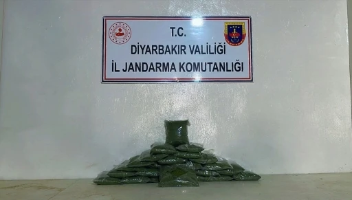 Diyarbakır’da çalılıklar arasında muhafaza edilmiş 77 kilo esrar ele geçirildi
