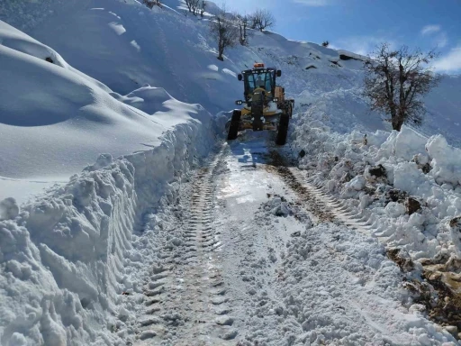 Diyarbakır&rsquo;da kapalı yolların a&ccedil;ılması i&ccedil;in &ccedil;alışmalar s&uuml;r&uuml;yor
