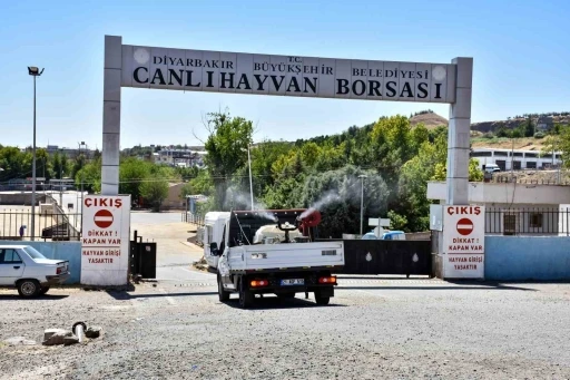 Diyarbakır’da kapatılan Canlı Hayvan Borsası ilaçlanıp dezenfekte edildi
