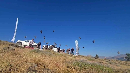Diyarbakır&rsquo;da keneye karşı doğal m&uuml;cadele
