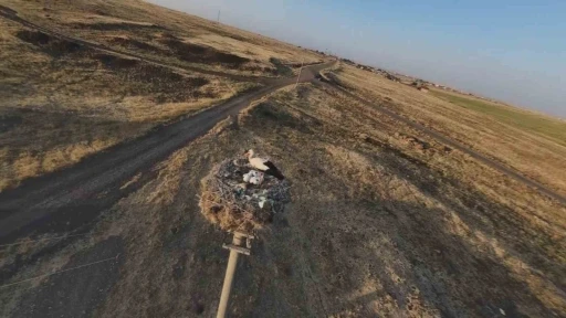 Diyarbakır’da leylekler yuvalarına döndü

