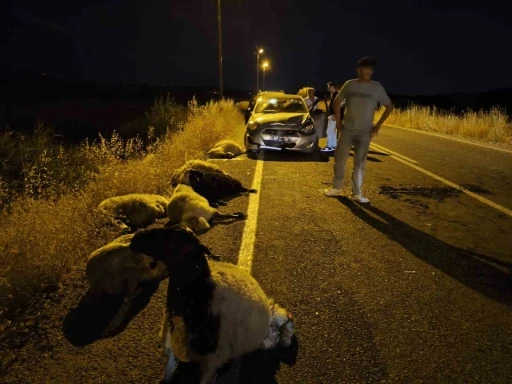 Diyarbakır&rsquo;da otomobil s&uuml;r&uuml;ye &ccedil;arptı: 10 koyun telef oldu
