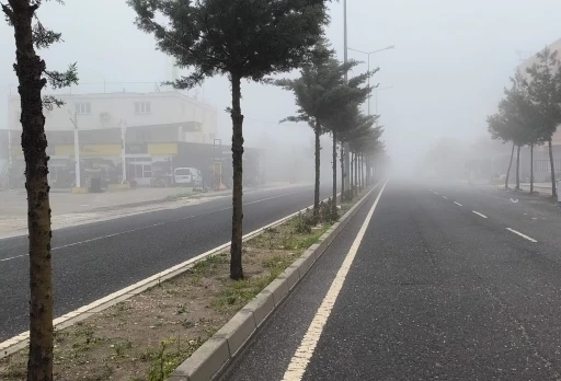 Diyarbakır&rsquo;da sis etkili oldu
