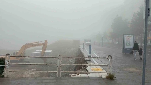 Diyarbakır’da yoğun sis yaşamı olumsuz etkiledi
