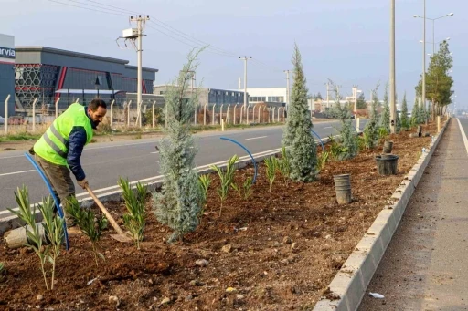 Diyarbakır&rsquo;ın 14 kilometrelik girişi ağa&ccedil;landırılıyor
