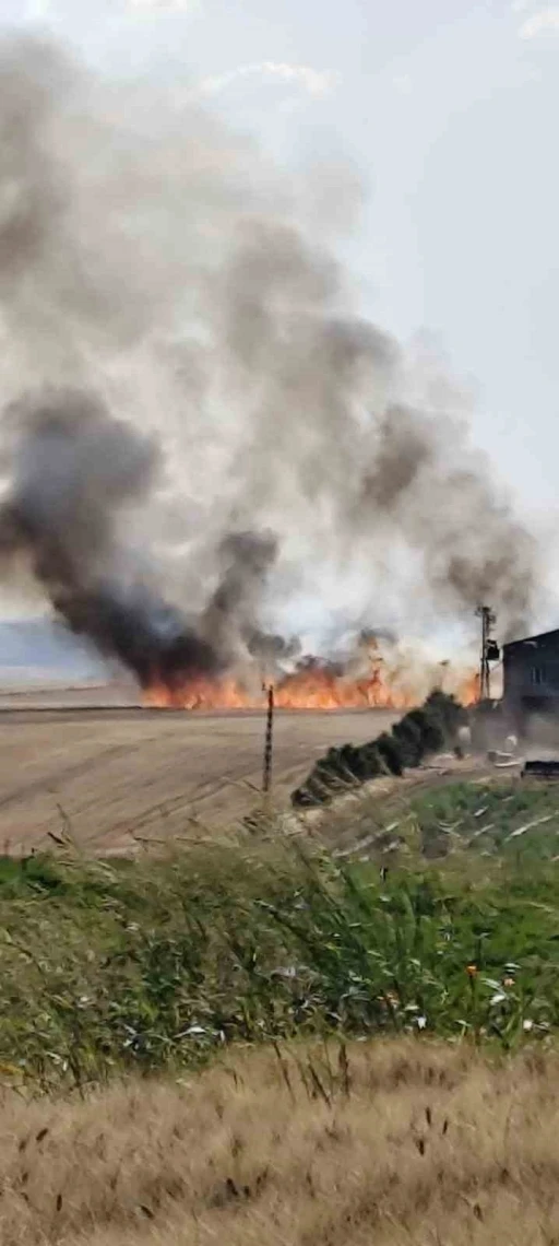 Diyarbakır’ın 3 mahallesinde buğday tarlası yangını
