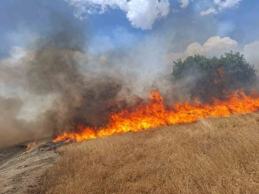Diyarbakır&rsquo;ın beş il&ccedil;esinde yangın
