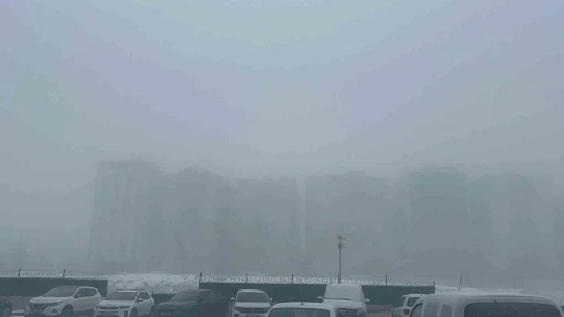 Diyarbakır sis denizinde kayboldu, u&ccedil;ak seferleri iptal edildi
