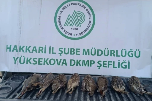 DKMP ekipleri kaçak keklik avlayan şahsa cezai işlem uyguladı
