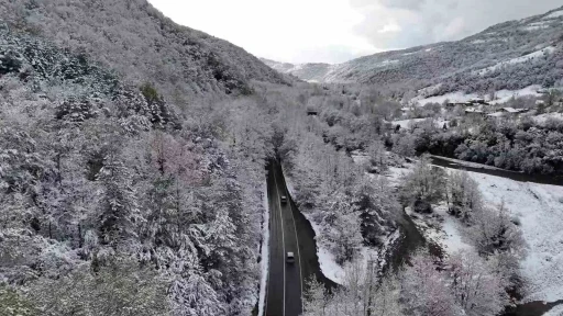 Doğal ağaç tünelli yol, kar manzaralarıyla mest etti
