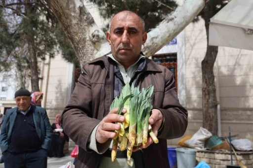 Doğal antibiyotik ‘çiriş otu’ tezgahlarda yerini aldı
