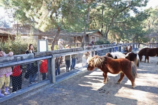 Doğal Yaşam Parkı&rsquo;nda &ccedil;ocuklara hayvan ve doğa sevgisi aşılanıyor
