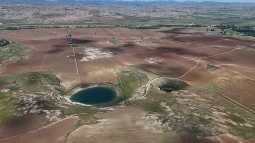 Doğanın gözlerinde kene sessizliği
