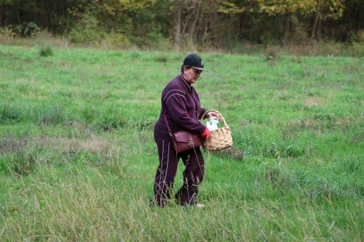 Doğaseverler Ormanya’nın zengin biyolojik çeşitliliğini keşfetti
