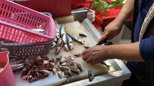 Doğru bilinen yanlışı uzmanı a&ccedil;ıkladı