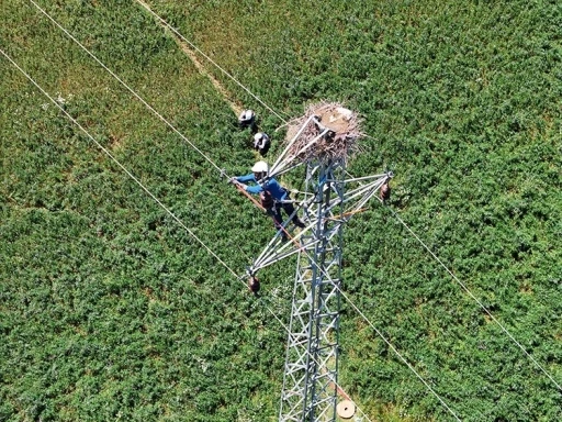 Doğu Anadolu’da hem leylekler hem de enerji güvende
