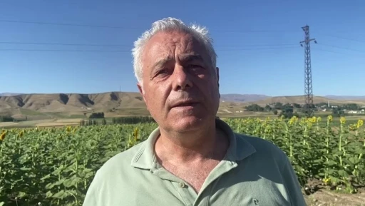Doğu’da ayçiçeği ve mısır üretimi artıyor
