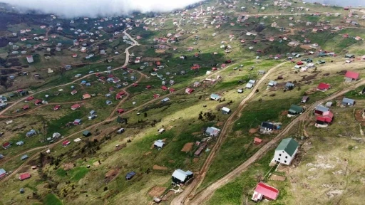 Doğu Karadeniz’deki yaylalar kaçak betonlaşma tehdidi altında
