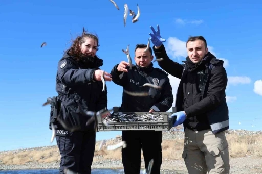 Doğu&rsquo;nun gizli denizinde şefkat eli: Polis ekipleri martı ve tavşanları unutmadı
