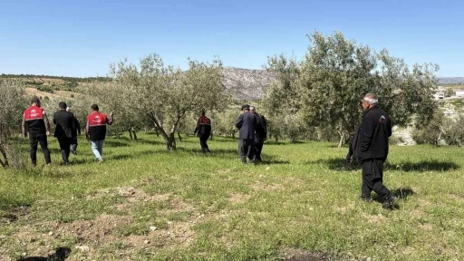 Dolu sonrası hasar tespit &ccedil;alışmaları başladı

