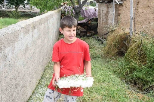 Dolu ve sel vurdu, hasada g&uuml;nler kala arpa tarlaları zarar g&ouml;rd&uuml;
