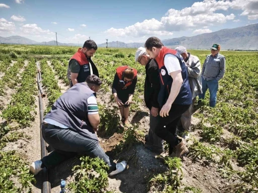 Dolu yağışı tarım alanlarına zarar verdi
