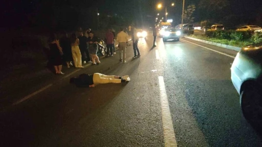 Domuz sürüsüne çarpan motosiklet sürücüsü ağır yaralandı
