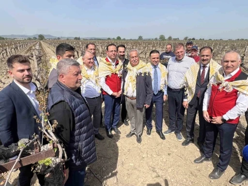Don afetinden zarar gören üreticilerin yaptıkları masraflar karşılanacak

