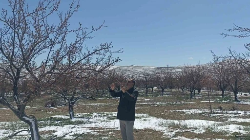 Don kayısıyı vurdu
