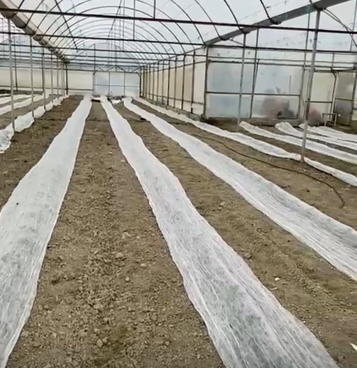Don uyarısına karşı seracılardan t&uuml;ll&uuml; &ouml;nlem
