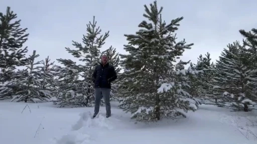 Dondurucu soğuğa aldırış etmeden akarsuya girdi
