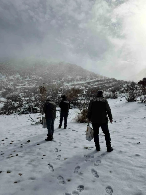 Dondurucu soğuklarda yaban hayata umut oldular