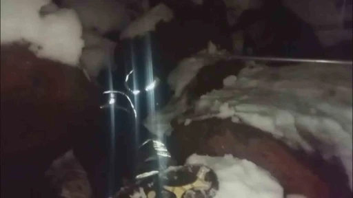 Dondurucu soğukta &ouml;l&uuml;m&uuml; bekleyen yavru k&ouml;pekleri itfaiye kurtardı
