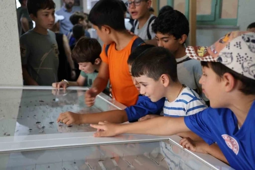 Dondurulmuş hayvan müzesine büyük ilgi
