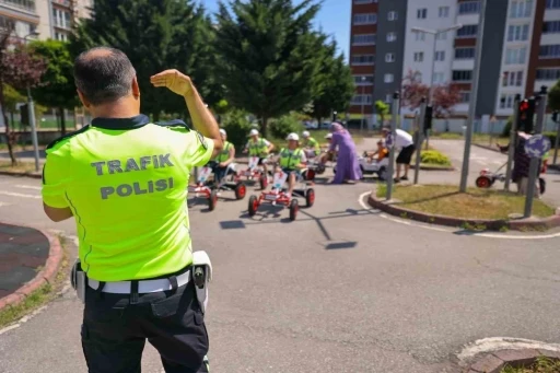Down sendromlu &ccedil;ocuklara uygulamalı trafik eğitimi
