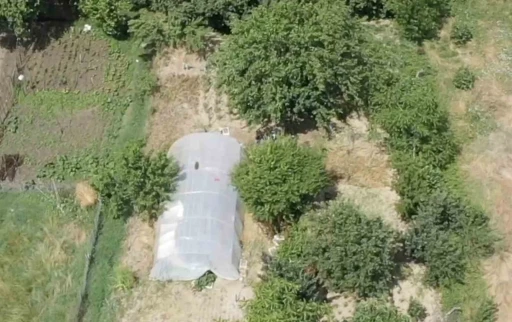 Dron destekli operasyonda seraya gizlenen hint kenevirleri ele ge&ccedil;irildi
