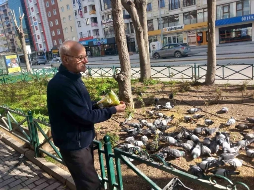 D&uuml;kkanının &ouml;n&uuml;ne gelen onlarca g&uuml;vercini doyuruyor
